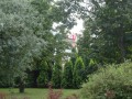 DSC03639