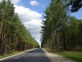 DSC03649