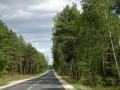 DSC03650