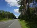 DSC03654