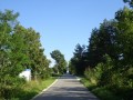 DSC03661