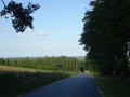 DSC03664