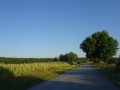 DSC03668