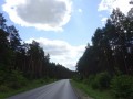 DSC03674