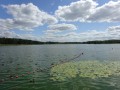 DSC03676