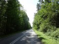 DSC03678