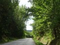 DSC03681