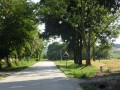 DSC03694