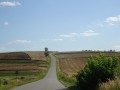 DSC03695