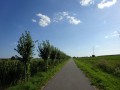 DSC03696