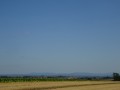 DSC03697