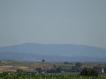 DSC03698