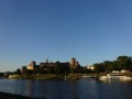 DSC03705