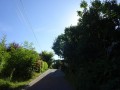 DSC03709