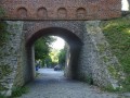 DSC03710