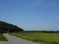 DSC03726