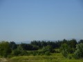 DSC03727