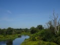 DSC03730