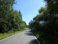 DSC03741