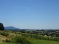 DSC03745