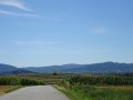 DSC03747