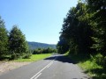 DSC03749