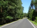 DSC03785